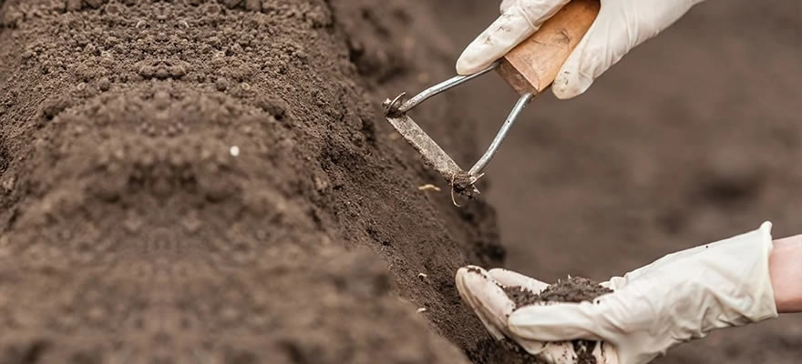 Soil Analysis